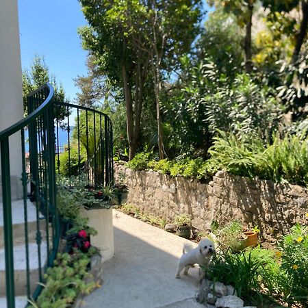 Apartments Milicevic Herceg Novi Buitenkant foto