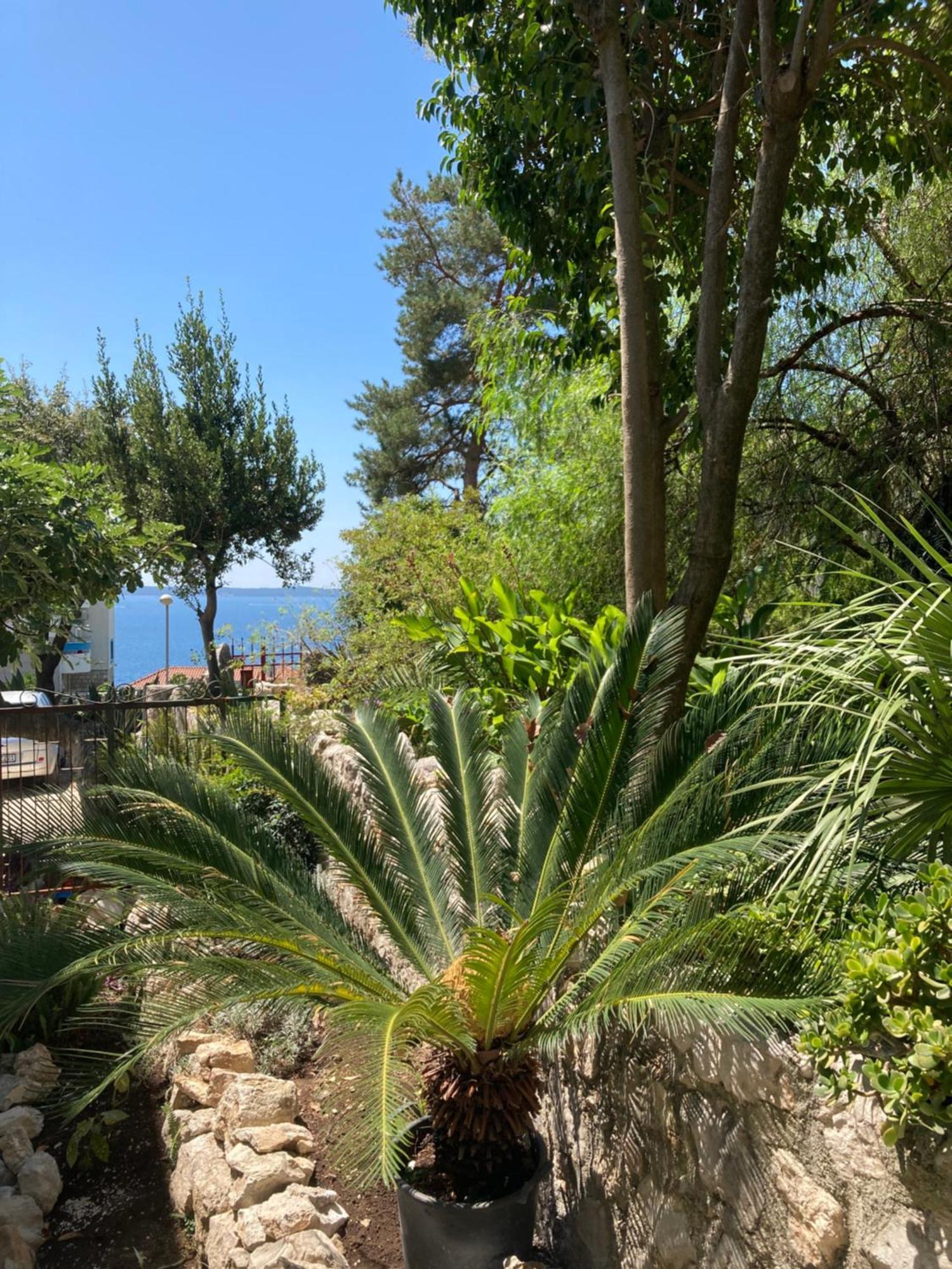 Apartments Milicevic Herceg Novi Buitenkant foto