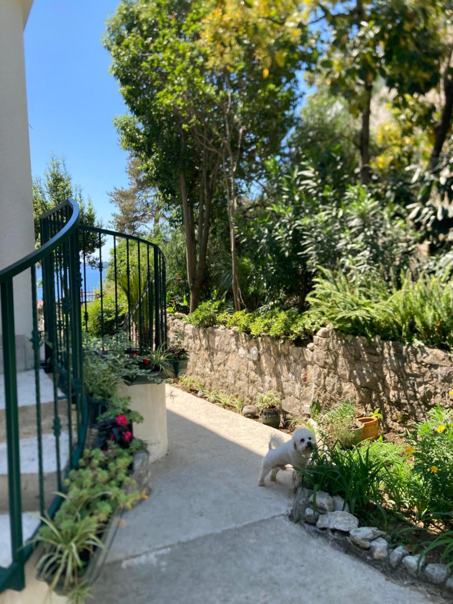 Apartments Milicevic Herceg Novi Buitenkant foto